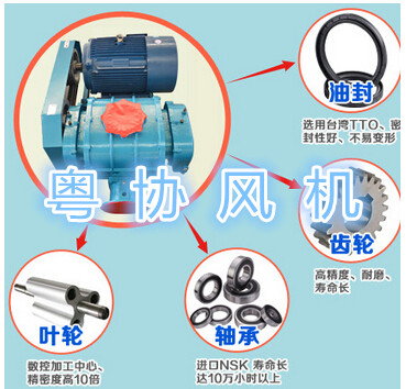 环保罗茨鼓风机