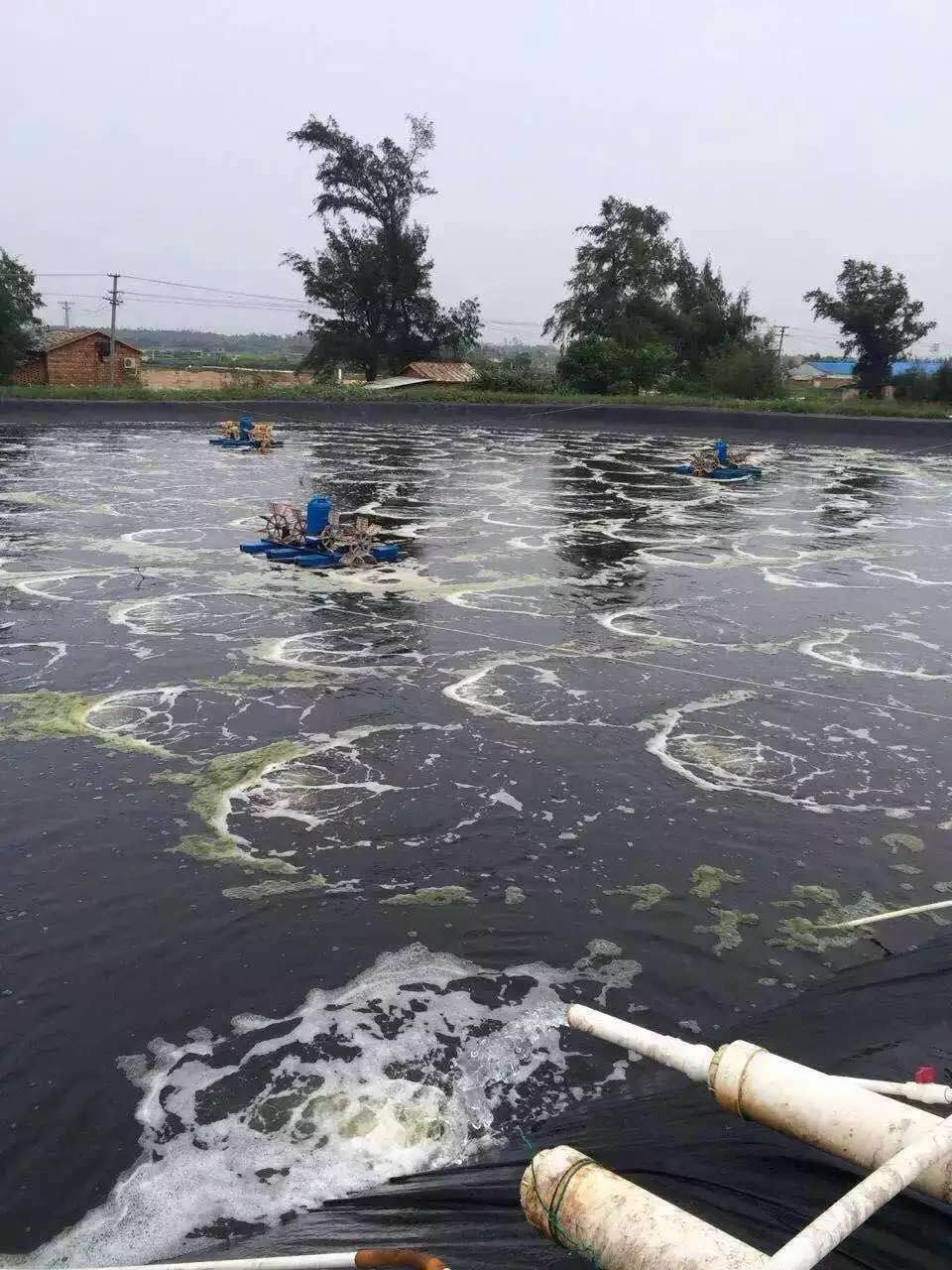 水产养殖风机