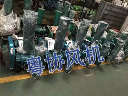 污水曝气罗茨风机